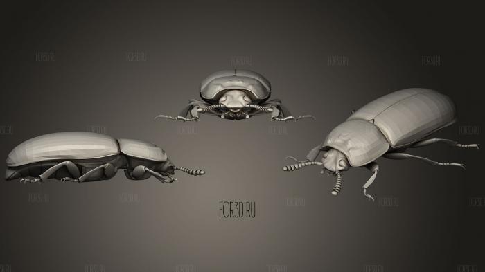 Insect beetles 113 stl model for CNC